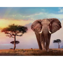 African Sunset - 500 pezzi