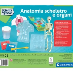 Anatomia Scheletro e Organi