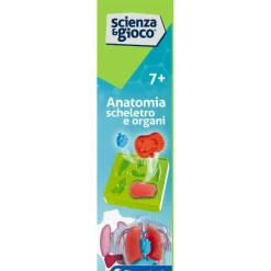 Anatomia Scheletro e Organi