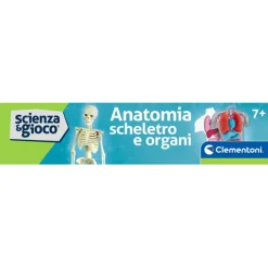 Anatomia Scheletro e Organi