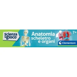 Anatomia Scheletro e Organi