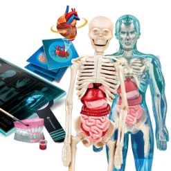 Anatomia Super!