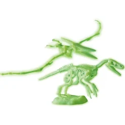 Archeogiocando - Pteranodonte e Velociraptor