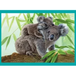 Baby Cuddles - 1x12 + 1x16 + 1x20 + 1x24 pezzi