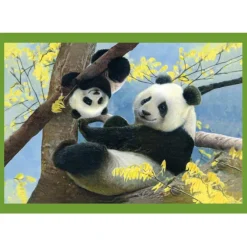 Baby Cuddles - 1x12 + 1x16 + 1x20 + 1x24 pezzi