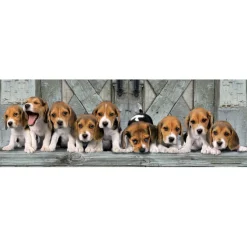 Beagles - 1000 pezzi