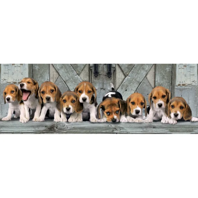 Beagles - 1000 pezzi
