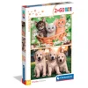 Brothers In Fur - 60 pezzi
