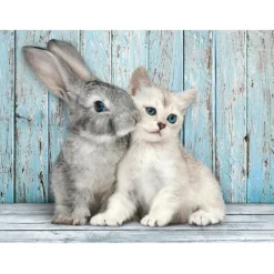 Cat & Bunny - 500 pezzi