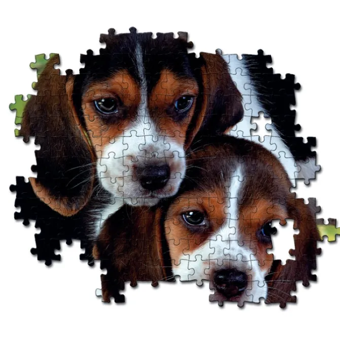 Close together - 500 pezzi