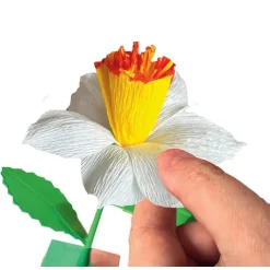 Create your Flowers - Narciso