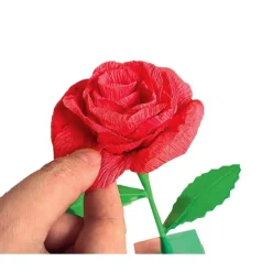 Create your Flowers - Rosa