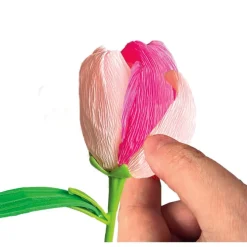Create your Flowers - Tulipano