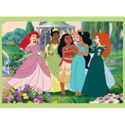 Disney Princess - 1x12 + 1x16 + 1x20 + 1x24 pezzi