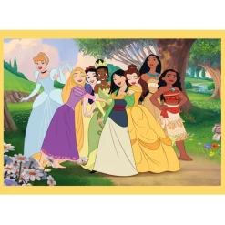 Disney Princess - 1x12 + 1x16 + 1x20 + 1x24 pezzi