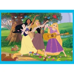 Disney Princess - 1x12 + 1x16 + 1x20 + 1x24 pezzi