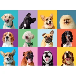 Funny Faces - 300 pezzi
