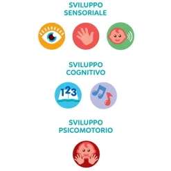 Gira e Guida Volante Attività