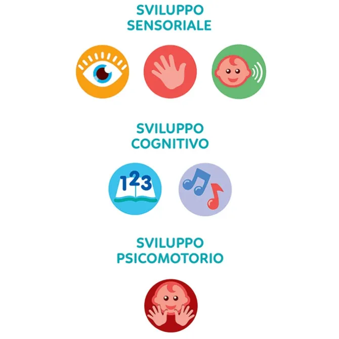 Gira e Guida Volante Attività