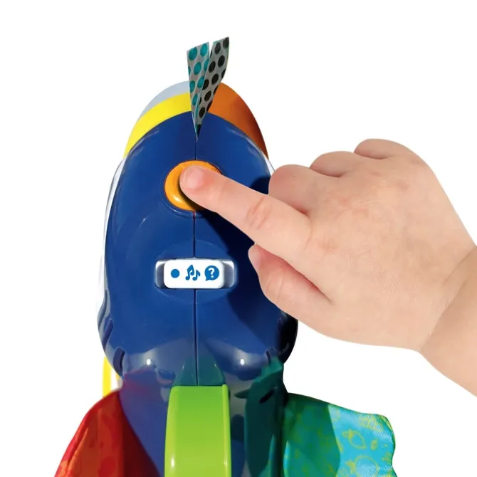 Giuliano il Tucano Frutta e Colori
