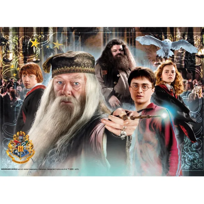 Harry Potter - 104 pezzi