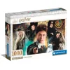 Harry Potter - 1000 pezzi