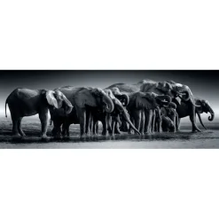 Herd of Giants - 1000 pezzi