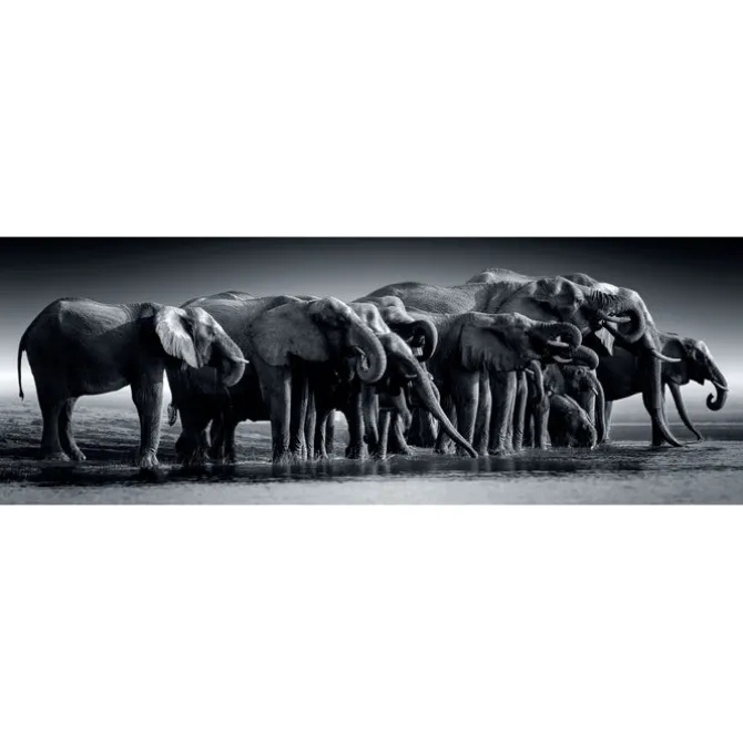 Herd of Giants - 1000 pezzi