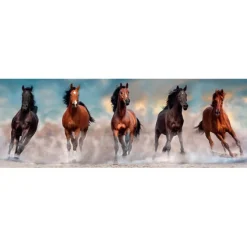 Horses - 1000 pezzi