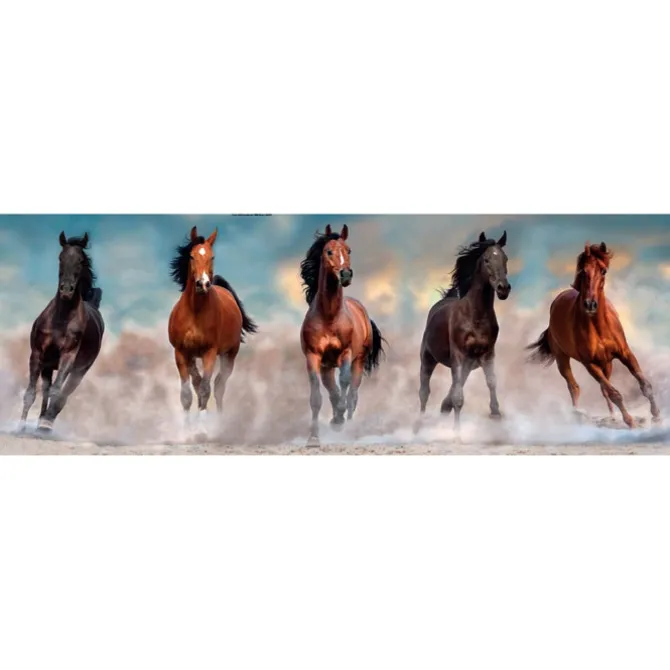 Horses - 1000 pezzi