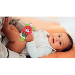 Ice Cream Rattle