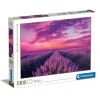 Lavender Field - 1000 pezzi