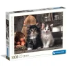 Lovely kittens - 1000 pezzi