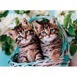 Lovely Kitty Twins - 60 pezzi