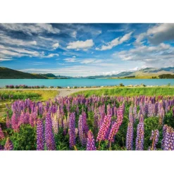 Lupins at Lake Tekapo - 1500 pezzi