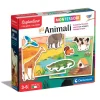 Montessori - Gli animali