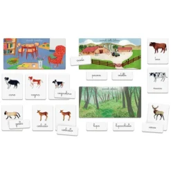 Montessori - Gli animali e i loro cuccioli