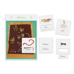 Montessori - Tombola delle parole