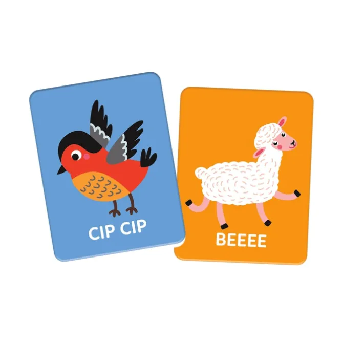Montessori Flashcards - Che verso fa?