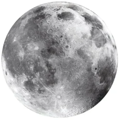 Moon - 500 pezzi