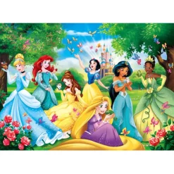 Princess - 60 pezzi