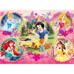 Princess - 60 pezzi