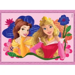 Princess - 1x12 + 1x16 + 1x20 + 1x24 pezzi