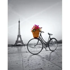 Romantic promenade in Paris - 500 pezzi