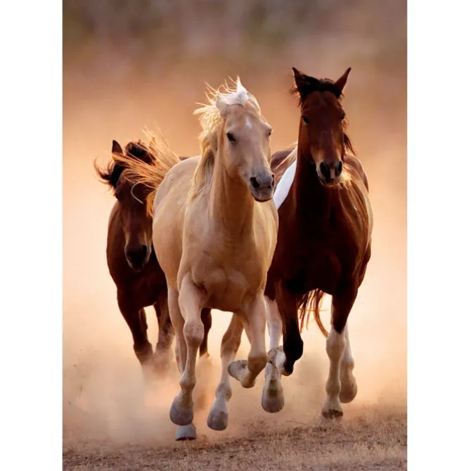Running Horses - 1000 pezzi