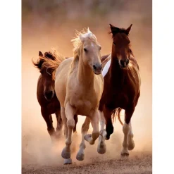 Running Horses - 1000 pezzi