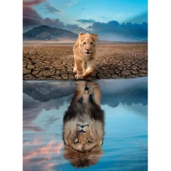Self Reflection - 300 pezzi