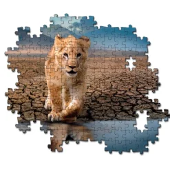 Self Reflection - 300 pezzi