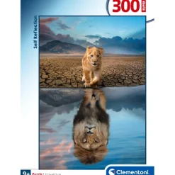 Self Reflection - 300 pezzi