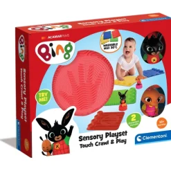 Sensory Play Set Bing!